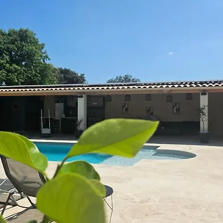 Villa Mas Des Palmiers *
