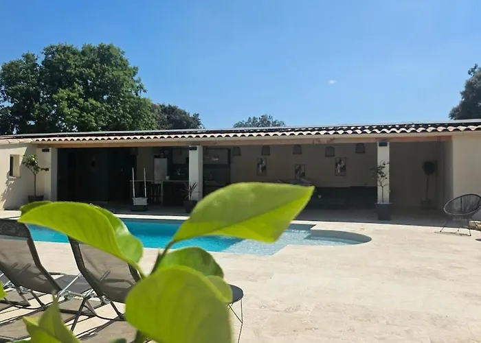 Villa Mas Des Palmiers *