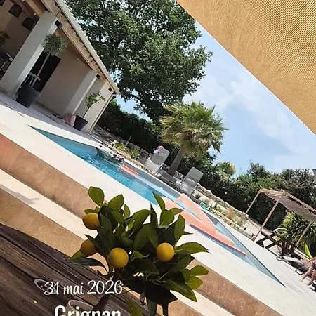 Mas Des Palmiers Villa